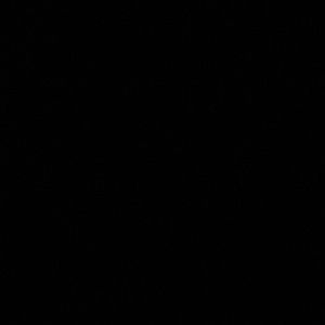 Meet your Posher, Roxann